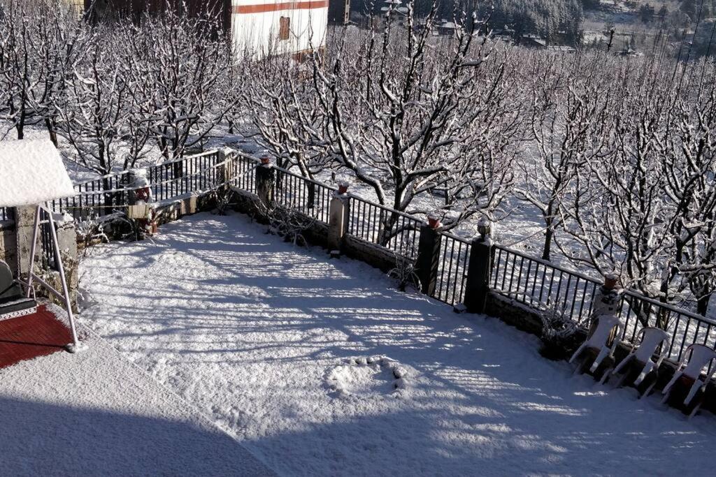 Aroma Taru Villa / Cottage ,Manali Exterior photo