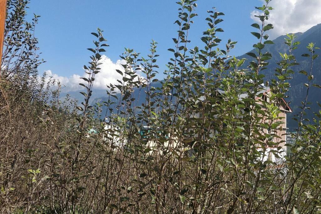 Aroma Taru Villa / Cottage ,Manali Exterior photo
