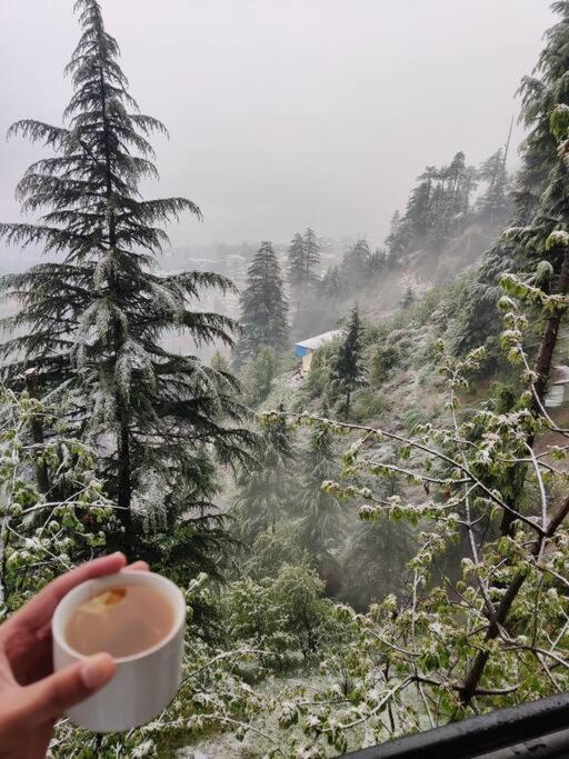 Aroma Taru Villa / Cottage ,Manali Exterior photo